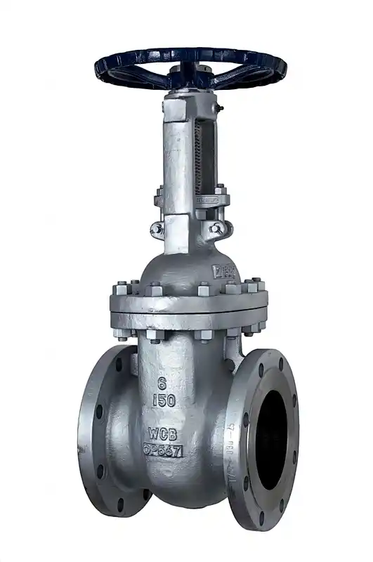 Cast Steel Gate Valve